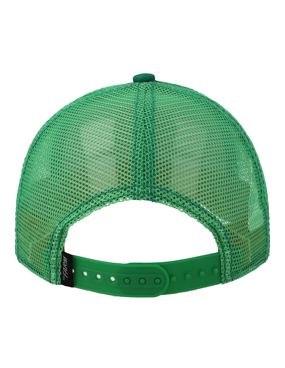 Gorra visera curva snapback para niño 5
