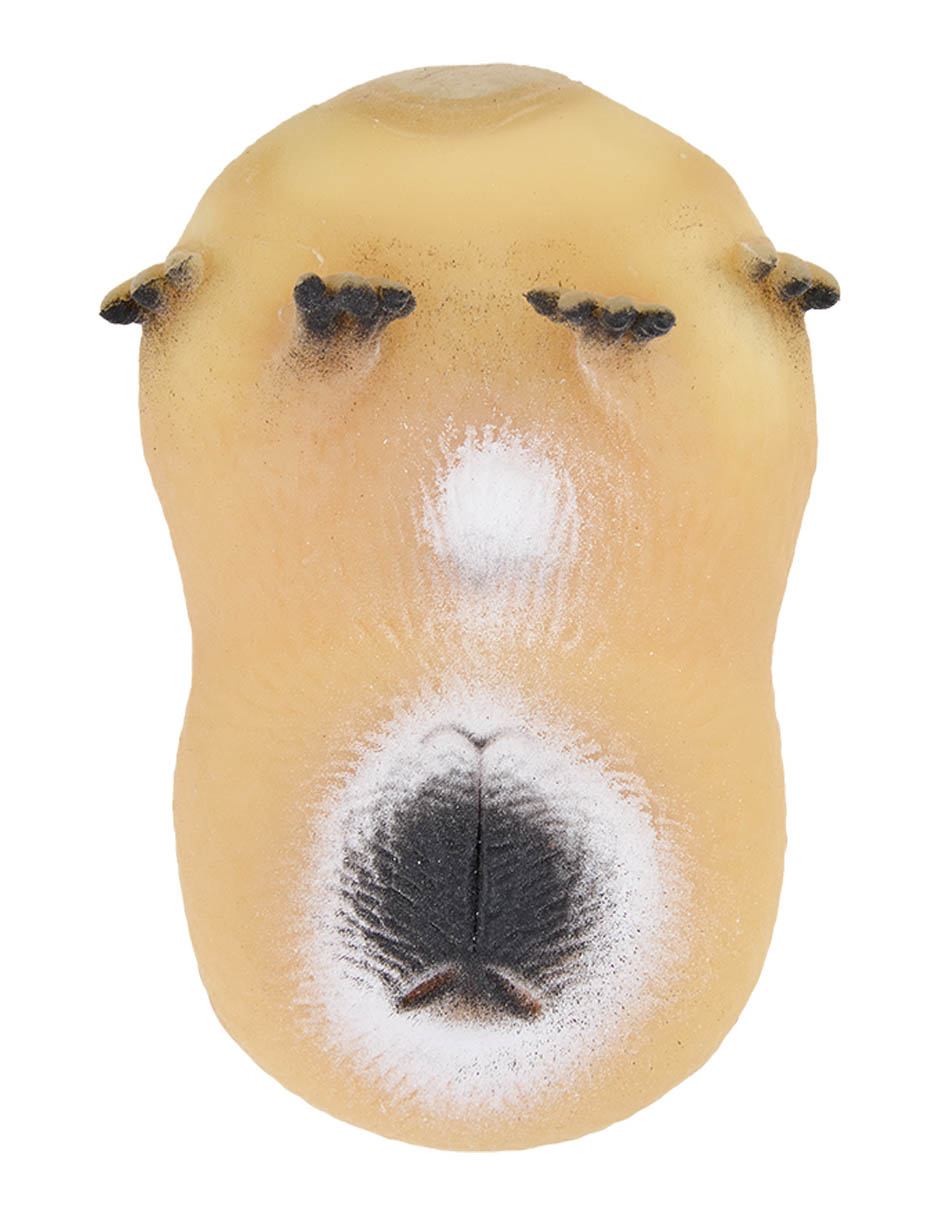 Squishy The Cuddly Cute One! Squishy The Cuddly Cute One!
