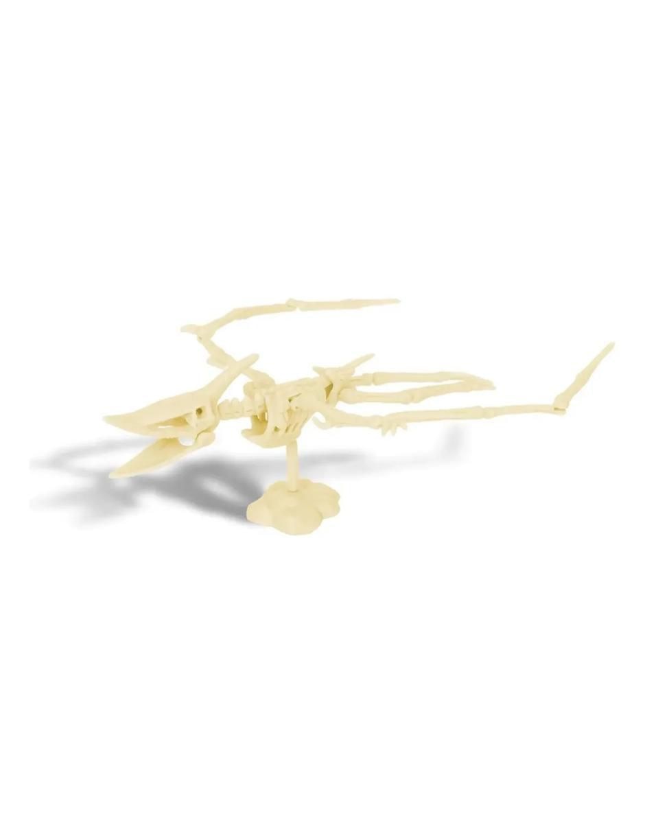 Kit Gemas Excavación Fósiles Dinosaurio juguete pteranodon MR. Gadgets