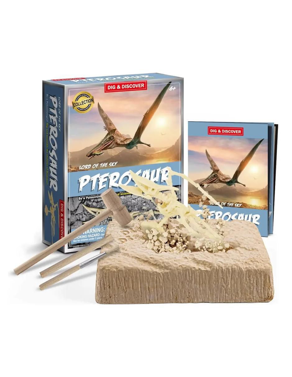 Kit Gemas Excavación Fósiles Dinosaurio juguete pteranodon